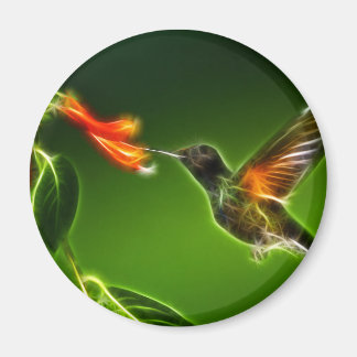 Imã Violetear Hummingbird Verde