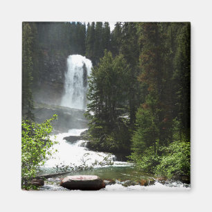 Imã Virginia Falls no Glacier National Park