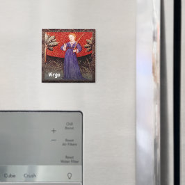 Imã Virgo, a Festa de aniversário Virgem Zodiac Sinal