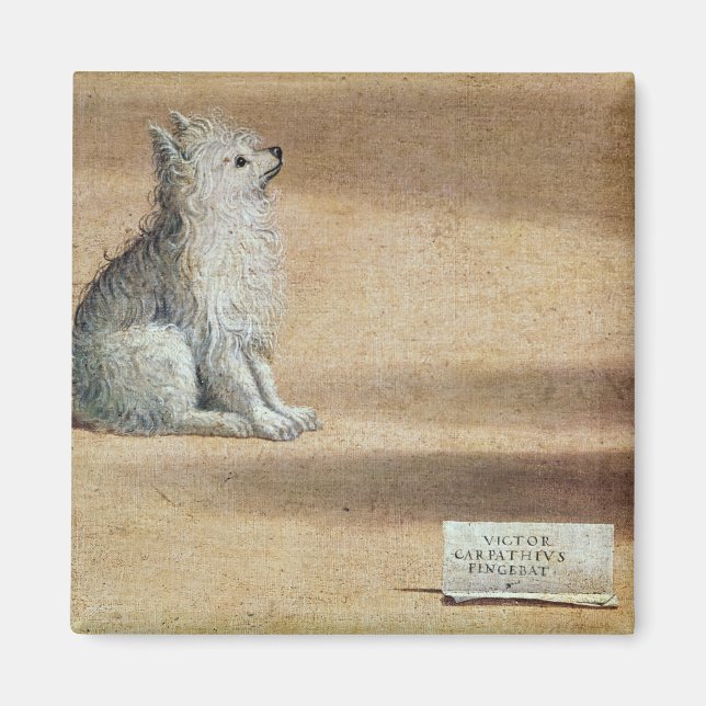 Imã Visão da Rua. Augustine (Frente)