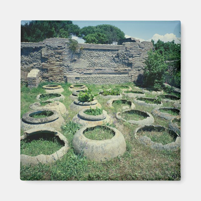 Imã Visão das compradas (Frente)