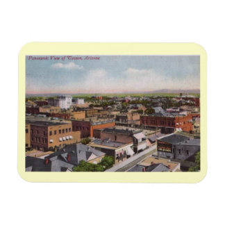 Ímã Visão de Ave, Tucson, Arizona 1912 Vintage