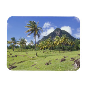 Ímã Visão de Gros Piton ao longo da trilha histórica