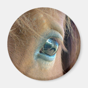 Imã Visão do cavalo