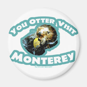 Imã Visita Monterey da lontra