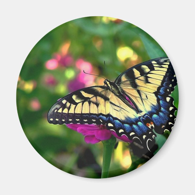 Imã Visitante de Verão (Frente)