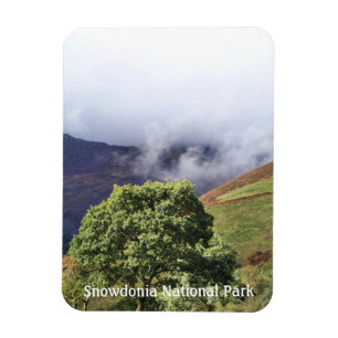 ÍMÃ VISÕES DAS PAREDES