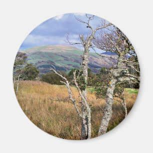 IMÃ VISÕES DAS PAREDES