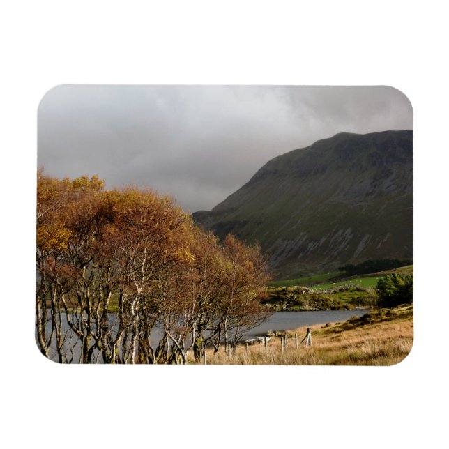 ÍMÃ VISÕES DAS PAREDES (Horizontal)