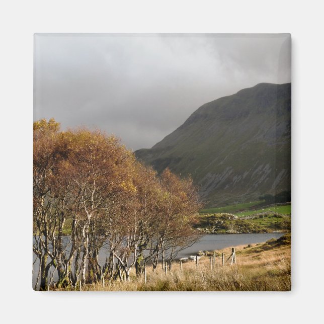 IMÃ VISÕES DAS PAREDES (Frente)