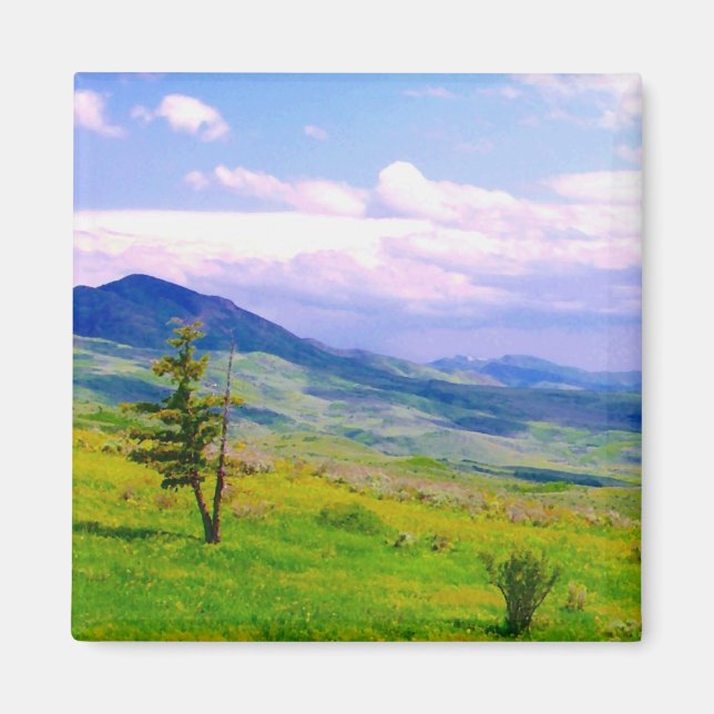 Imã Vista cenística de Utah (Frente)