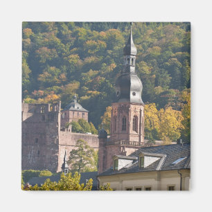 Imã Vista da Cidade Velha de Heidelberg