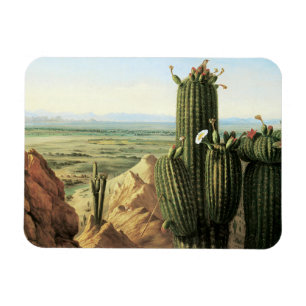 Ímã Vista da montanha de Maricopa perto do rio Gila