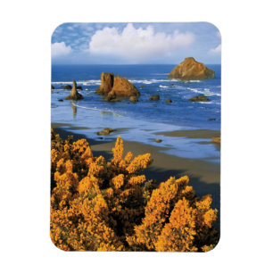 Ímã Vista da Praia de Oregon em Bandon