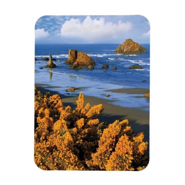 Ímã Vista da Praia de Oregon em Bandon (Vertical)