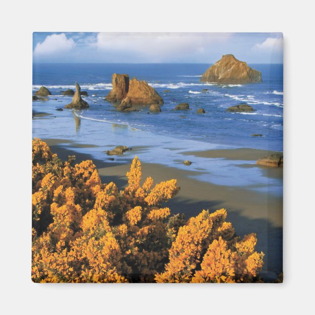 Imã Vista da Praia de Oregon em Bandon (Frente)