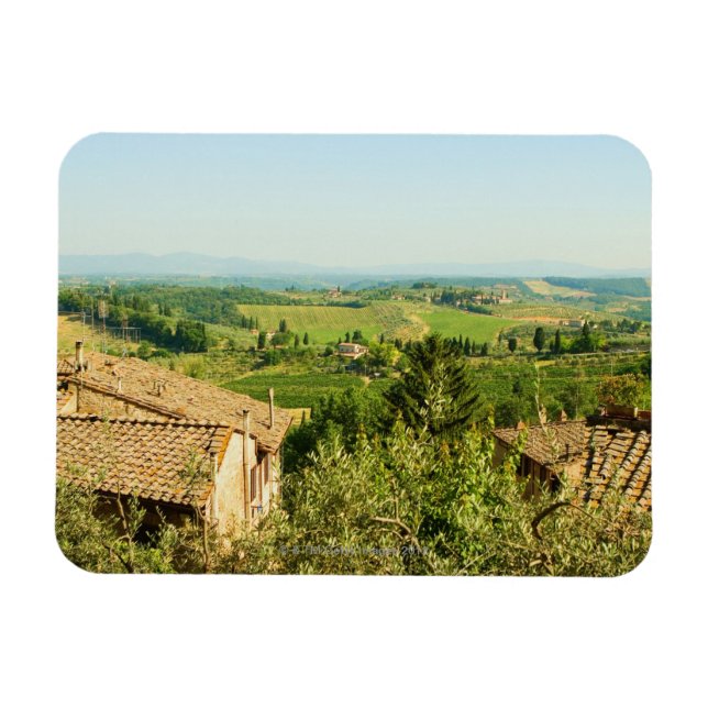 Ímã Vista de alto ângulo das casas com vinhedo (Horizontal)