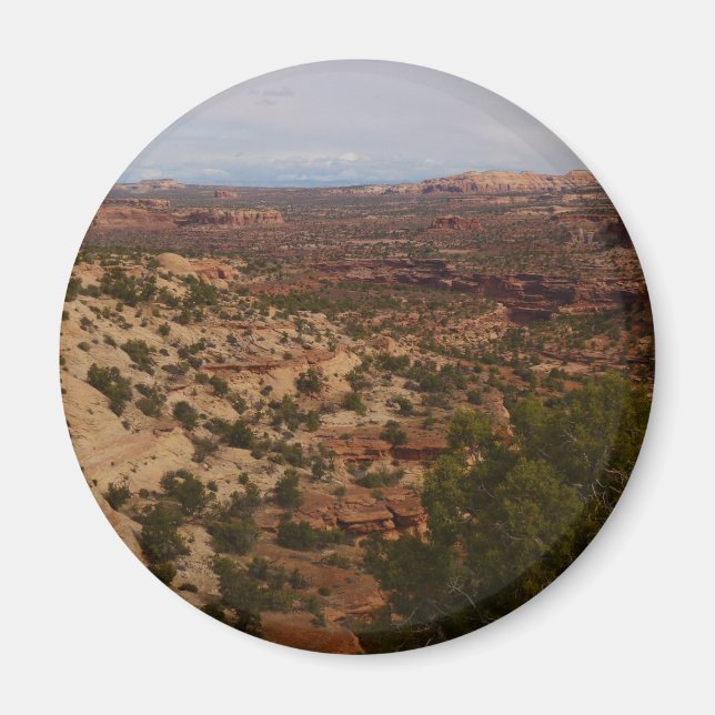 Imã Vista de Canyonlands desde a Trilha Neck Springs (Frente)