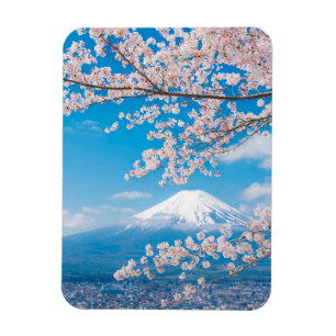 Ímã Vista de Monte Fuji com flores de cerejeira