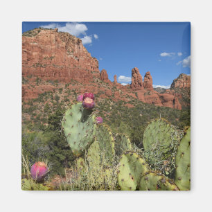 Imã Vista de montículos gêmeos Sedona, arizona