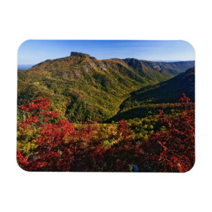 Ímã Vista de outono do Linville Gorge muitas vezes cha