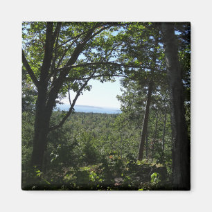 Imã Vista de Verão no Parque Nacional de Acadia