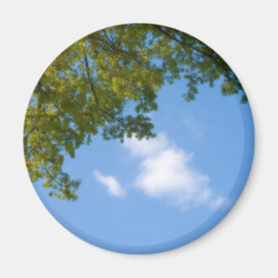 Imã vista do céu com topo de árvore