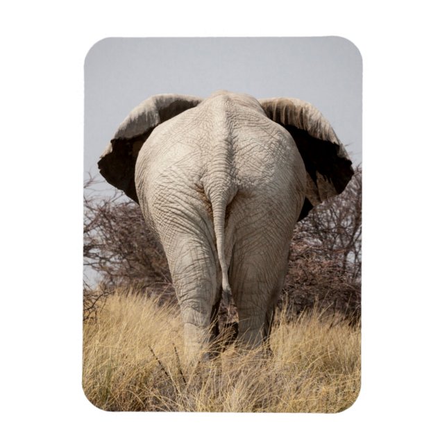 Ímã Vista traseira de elefante (Vertical)