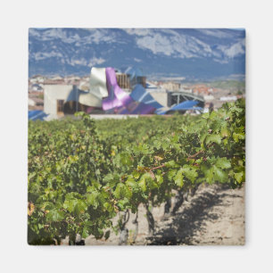 Imã Vista urbana elevada e Hotel Marques de Riscal