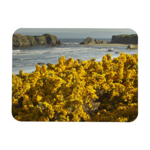 Ímã Vistas costeiras, Bandon, Oregon