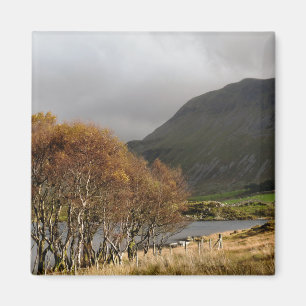 IMÃ VISTAS DE WALES