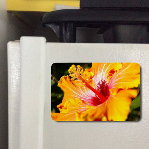 Ímã Visualização Lado do Hibiscus Laranja