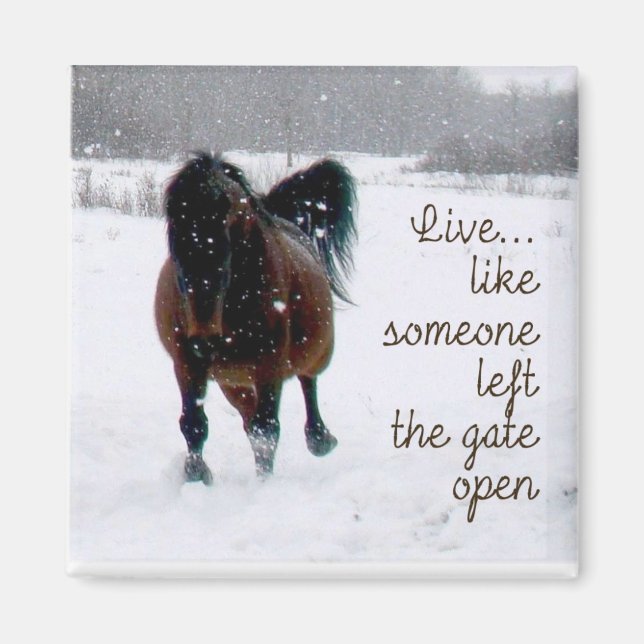 Imã Viva a vida! (Frente)