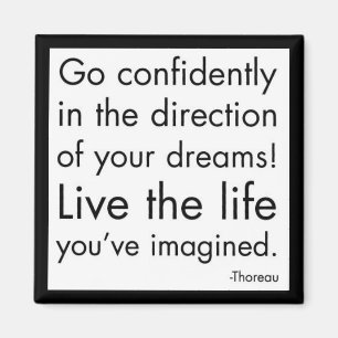 Imã "Vive a vida onde você imaginou "