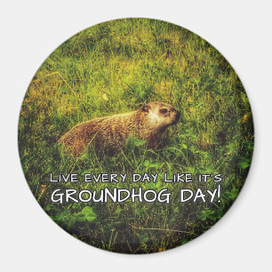 Imã Vive cada dia como é dia de Groundhog! ímã