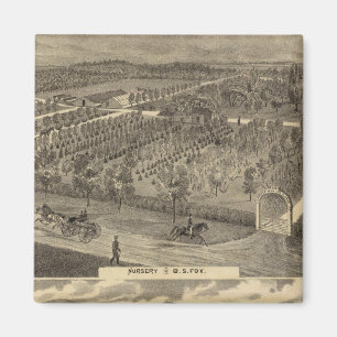 Imã Viveiros de raposa, res, pomar