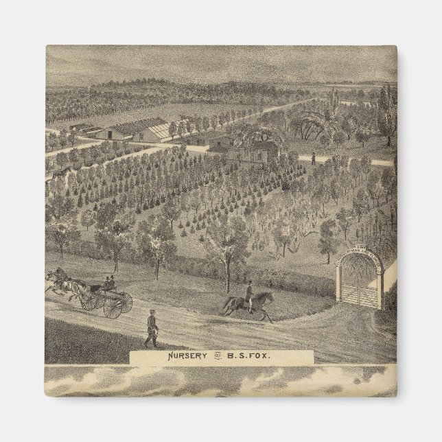 Imã Viveiros de raposa, res, pomar (Frente)