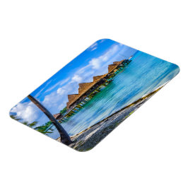 Ímã Vivendo na água