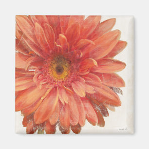 Imã Vivid Daisy