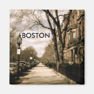 Imã Vizinhança da avenida da comunidade (sepia)