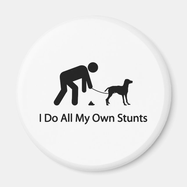 Imã Vizsla (Frente)