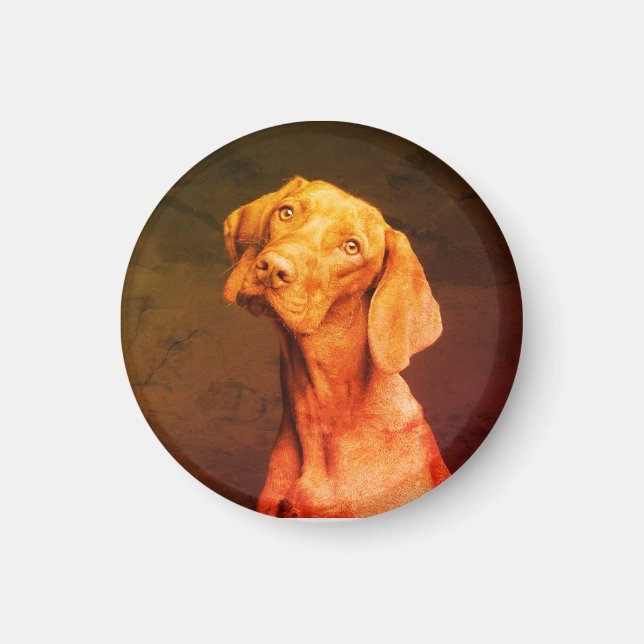 Imã Vizsla (Frente)