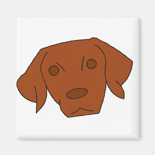 Imã Vizsla bonito