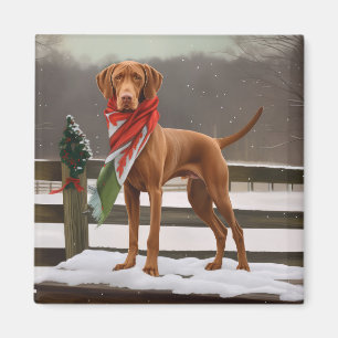 Imã Vizsla Dog no Natal da Neve