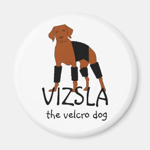 Imã Vizsla o ímã do cão de Velcro