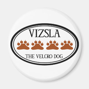 Imã Vizsla O Íman Velcro Dog