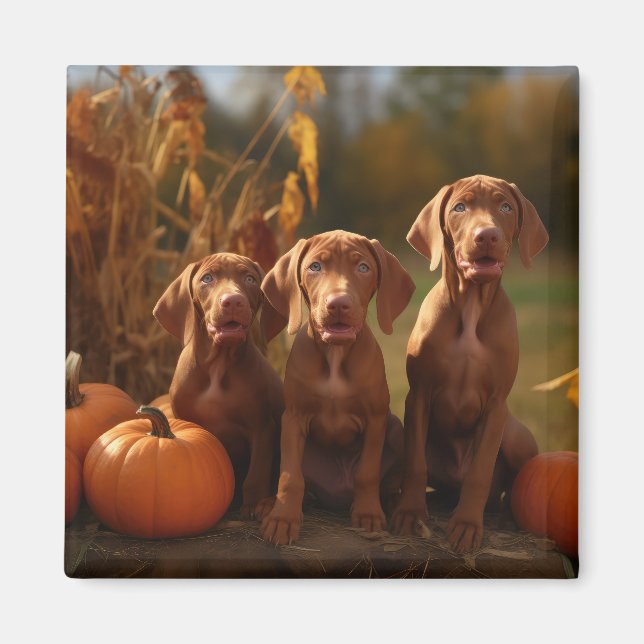 Imã Vizsla Puppy Autumn Delight Pumpkin (Frente)