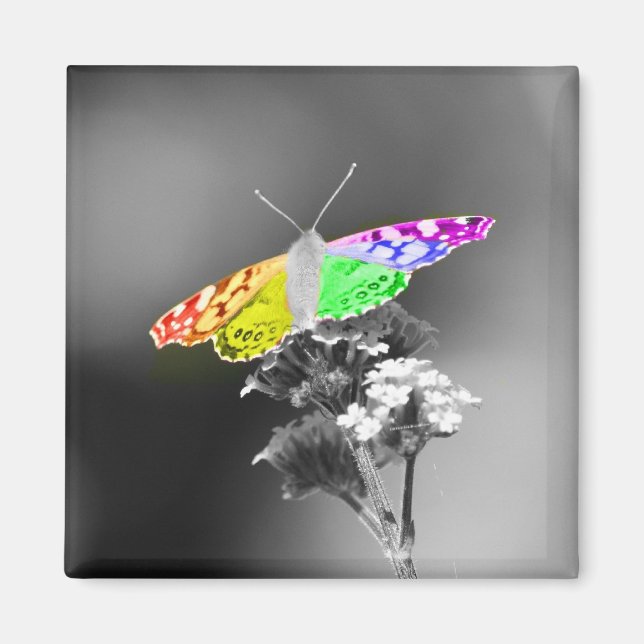 Imã Voando com orgulho (Frente)