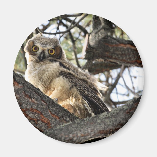 Imã Você Ama Os Meus Olhos? -Íman (Frente)