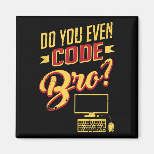 Imã Você Até Codifica O Engenheiro De Software Engra